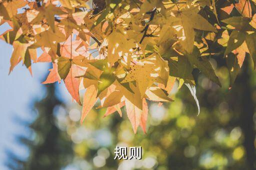 數(shù)據(jù)挖掘關(guān)聯(lián)規(guī)則算法,關(guān)聯(lián)規(guī)則在數(shù)據(jù)挖掘中的應(yīng)用