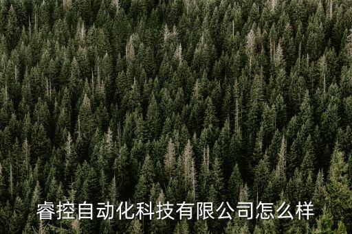 睿控自動化科技有限公司怎么樣