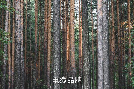 電力公司自動化線纜,供電公司自動化