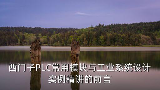 西門子PLC常用模塊與工業(yè)系統(tǒng)設計實例精講的前言