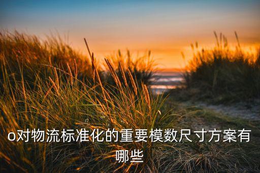 o對(duì)物流標(biāo)準(zhǔn)化的重要模數(shù)尺寸方案有哪些