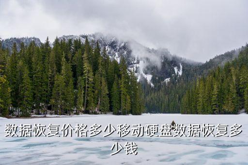 數(shù)據(jù)恢復(fù)價(jià)格多少移動(dòng)硬盤(pán)數(shù)據(jù)恢復(fù)多少錢(qián)