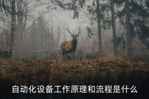 自動(dòng)化設(shè)備工作原理和流程是什么
