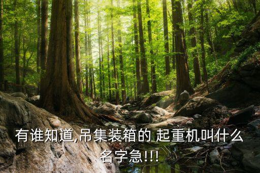 有誰知道,吊集裝箱的 起重機(jī)叫什么名字急!!!