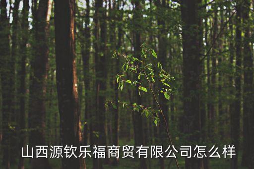  山西源欽樂(lè)福商貿(mào)有限公司怎么樣