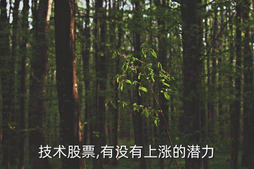 技術股票,有沒有上漲的潛力