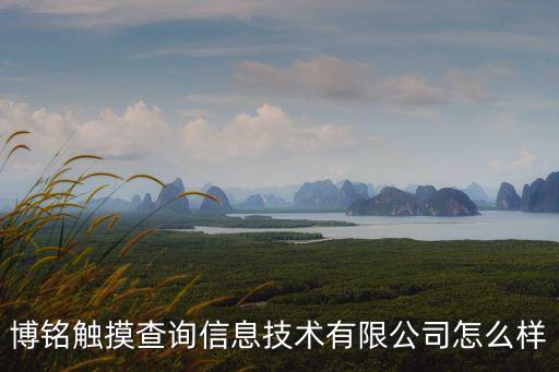 秦皇島博銘自動(dòng)化設(shè)備,河北博明電力設(shè)備有限公司