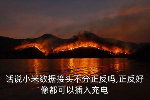 話說(shuō)小米數(shù)據(jù)接頭不分正反嗎,正反好像都可以插入充電