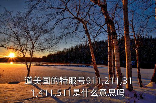 道美國的特服號911,211,311,411,511是什么意思嗎