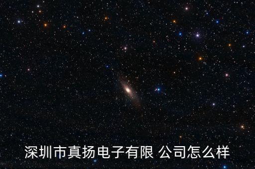 深圳市真揚(yáng)電子有限 公司怎么樣
