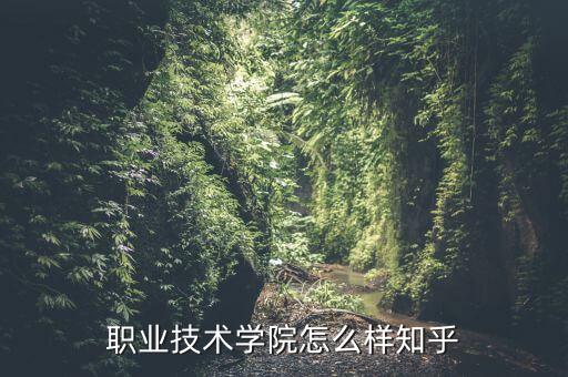 職業(yè)技術(shù)學(xué)院怎么樣知乎