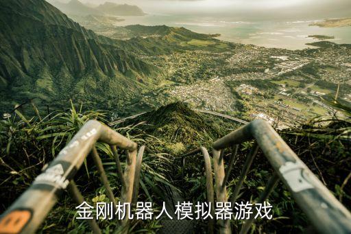 金剛機(jī)器人模擬器游戲