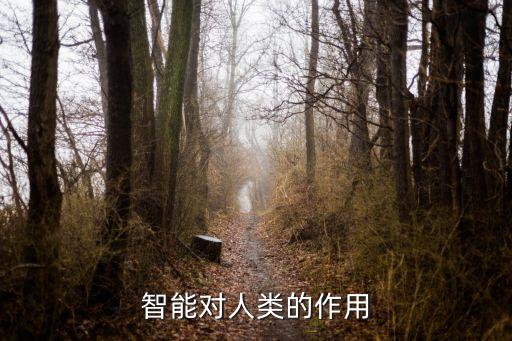 機(jī)器人在人們未來生活中的作用,人工智能對人類的作用