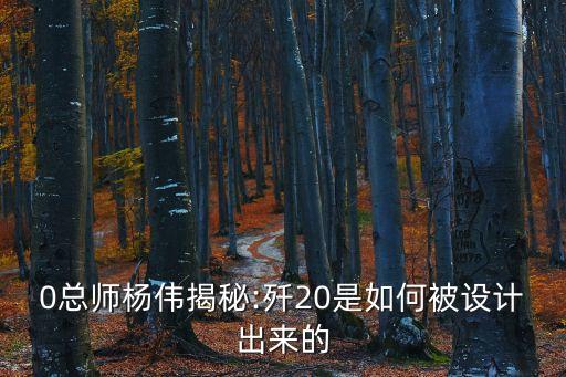 0總師楊偉揭秘:殲20是如何被設計出來的
