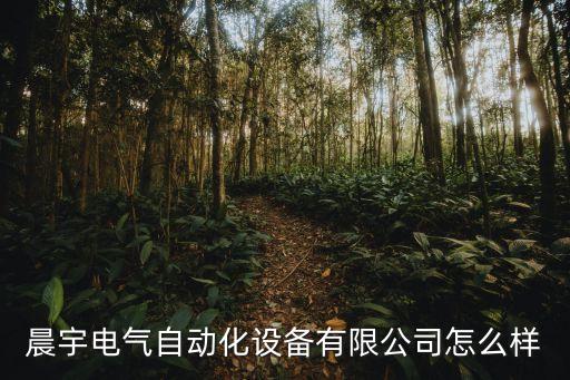 晨宇電氣自動(dòng)化設(shè)備有限公司怎么樣