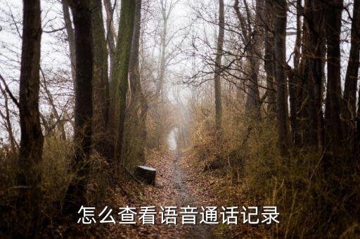 微信語音數(shù)據(jù)庫,PC版微信數(shù)據(jù)庫暴力破解