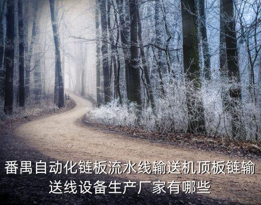 番禺自動化鏈板流水線輸送機頂板鏈輸送線設備生產(chǎn)廠家有哪些
