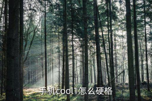 手機(jī)cool1怎么硬格