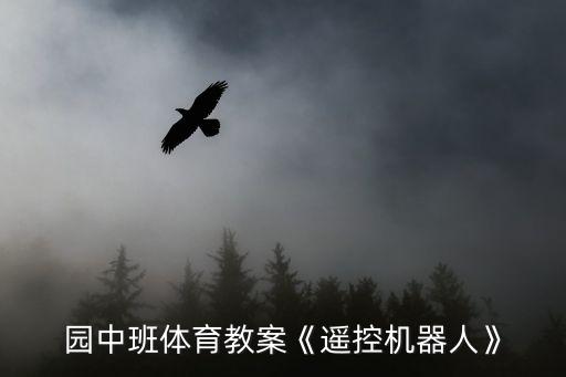 園中班體育教案《遙控機(jī)器人》