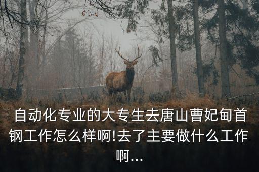  自動化專業(yè)的大專生去唐山曹妃甸首鋼工作怎么樣啊!去了主要做什么工作啊...