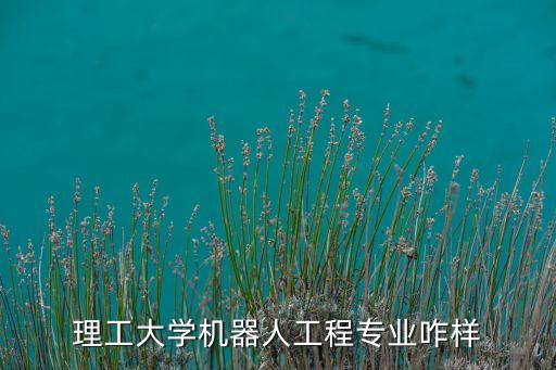 工大機(jī)器人怎么樣,南工大的機(jī)器人項(xiàng)目怎么樣?