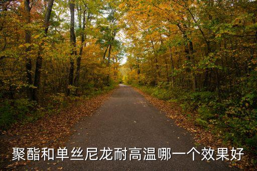聚酯和單絲尼龍耐高溫哪一個(gè)效果好