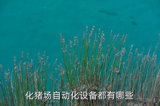 怎樣做自動化豬場設(shè)備設(shè)計,養(yǎng)豬場設(shè)備自動化
