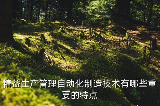 精益生產管理自動化制造技術有哪些重要的特點