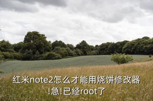 紅米note2怎么才能用燒餅修改器!急!已經(jīng)root了