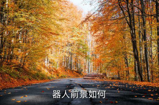 器人前景如何
