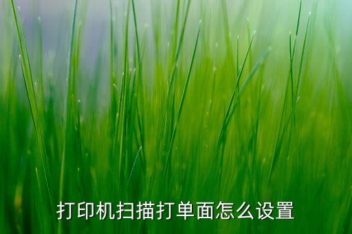 掃描模式,手持式掃描儀具有一鍵操作簡(jiǎn)單快捷