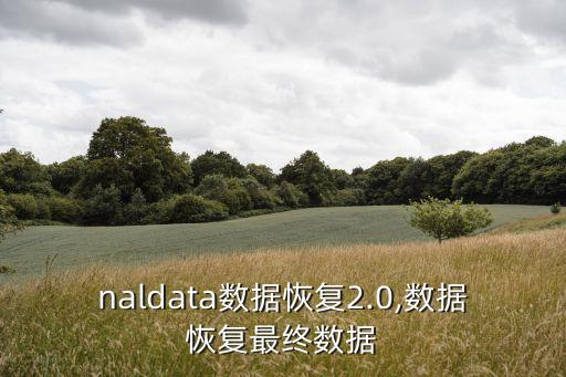 naldata數(shù)據(jù)恢復(fù)2.0,數(shù)據(jù)恢復(fù)最終數(shù)據(jù)