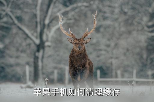 蘋果清除數(shù)據(jù)緩存文件,蘋果手機(jī)怎么清理緩存垃圾文件?
