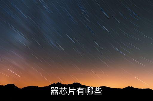 器芯片有哪些