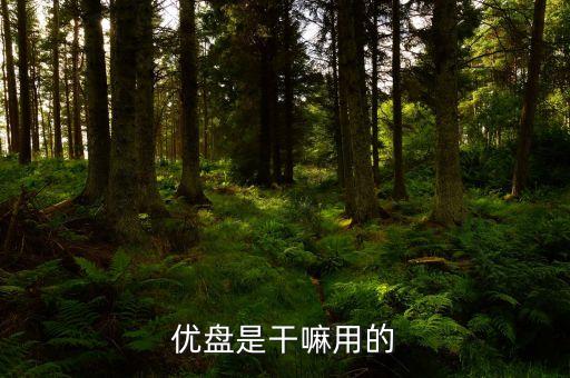 u盤是干什么的,一文看懂!u盤是怎么一回事?