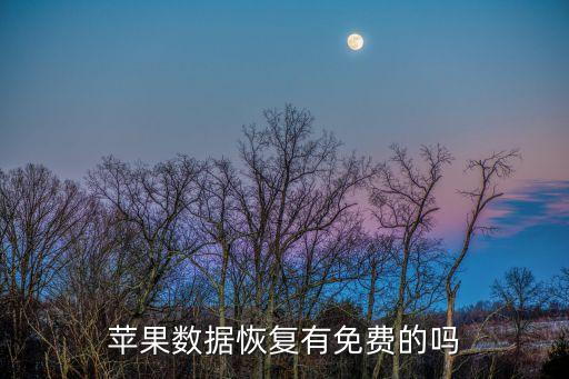 蘋(píng)果數(shù)據(jù)恢復(fù)有免費(fèi)的嗎