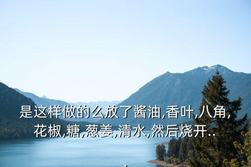 是這樣做的么放了醬油,香葉,八角,花椒,糖,蔥姜,清水,然后燒開...