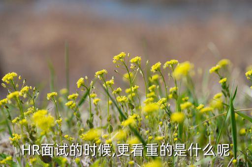 自動(dòng)化公司看重什么能力,企業(yè)在求職時(shí)看重什么?