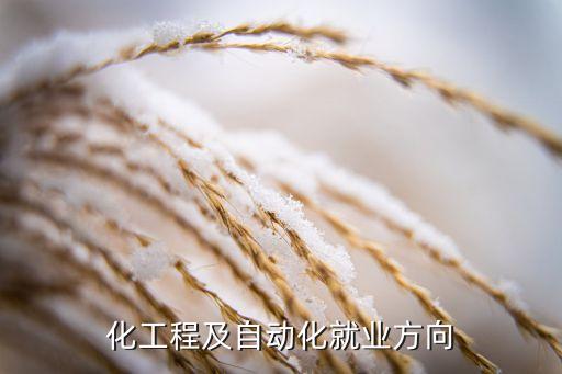 電氣工程及自動化 測控,自動化電氣測控就業(yè)方向