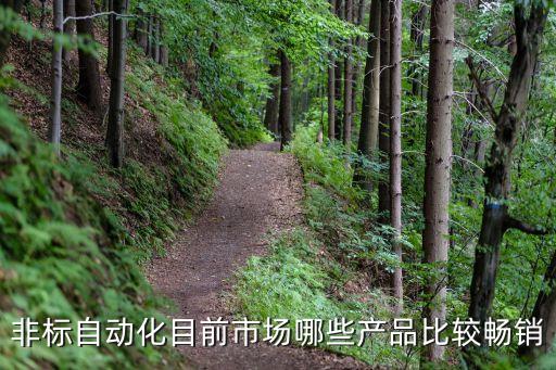 廣西非標(biāo)定制自動(dòng)化設(shè)備,非標(biāo)自動(dòng)化設(shè)備有何不同?看這里!