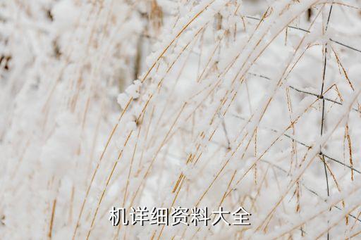 機(jī)詳細(xì)資料大全