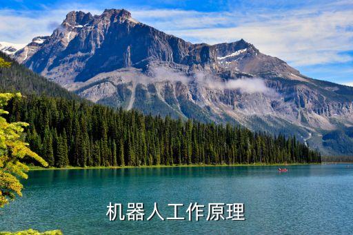 分揀機(jī)器人原理,快遞機(jī)器人分揀原理
