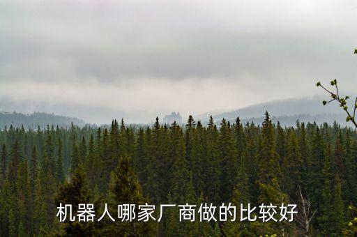 機器人哪家廠商做的比較好