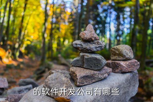 的軟件開(kāi)發(fā)公司有哪些