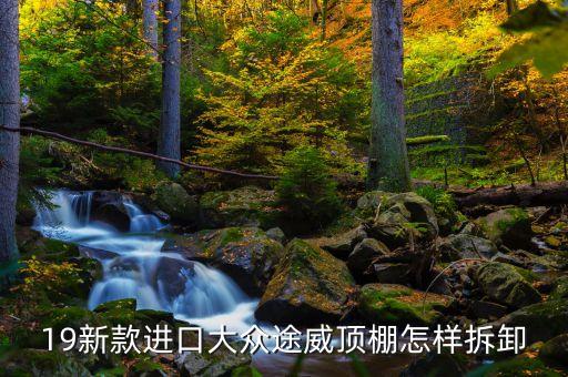 19新款進口大眾途威頂棚怎樣拆卸
