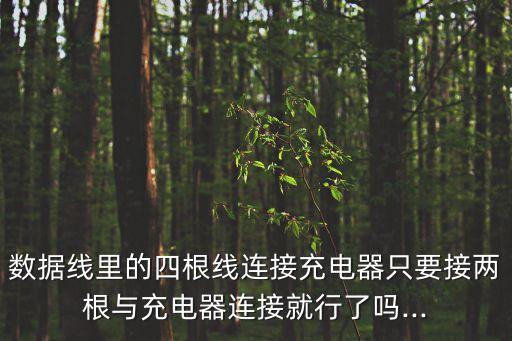 數(shù)據(jù)線里的四根線連接充電器只要接兩根與充電器連接就行了嗎...