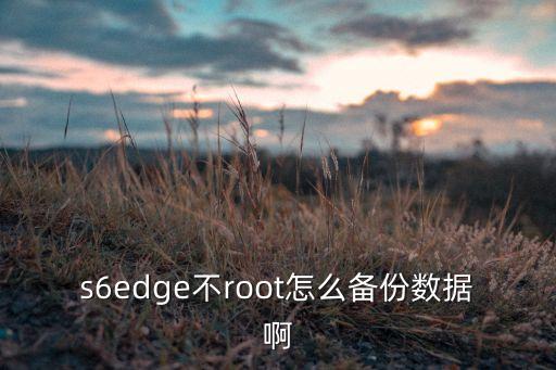 安卓無root備份數(shù)據(jù),無根備份數(shù)據(jù)