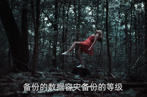 備份的數(shù)據(jù)容災(zāi)備份的等級(jí)