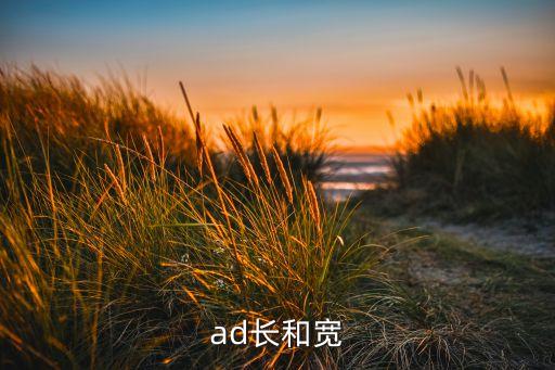 ipad大小,迷你ipad大小
