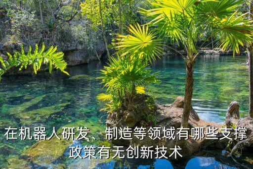 在機(jī)器人研發(fā)、制造等領(lǐng)域有哪些支撐政策有無創(chuàng)新技術(shù)